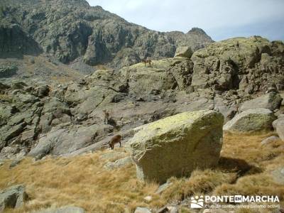 Laguna Grande de Gredos - Sierra de Gredos; viajes senderismo; municipios de toledo